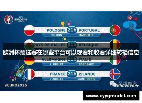 欧洲杯预选赛在哪些平台可以观看和收看详细转播信息